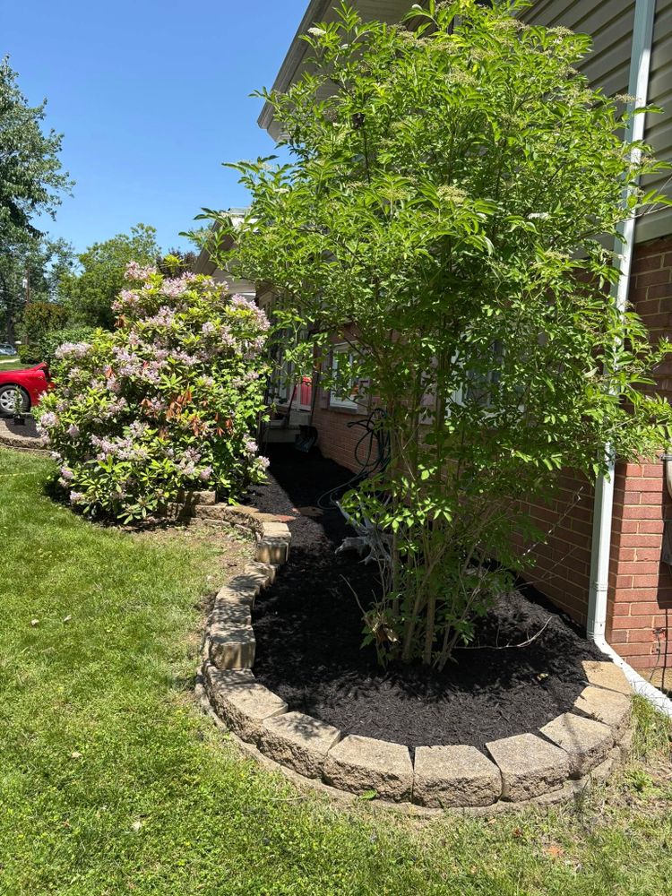 All Photos for Walsh Lawn And Landscape in Olney, MD