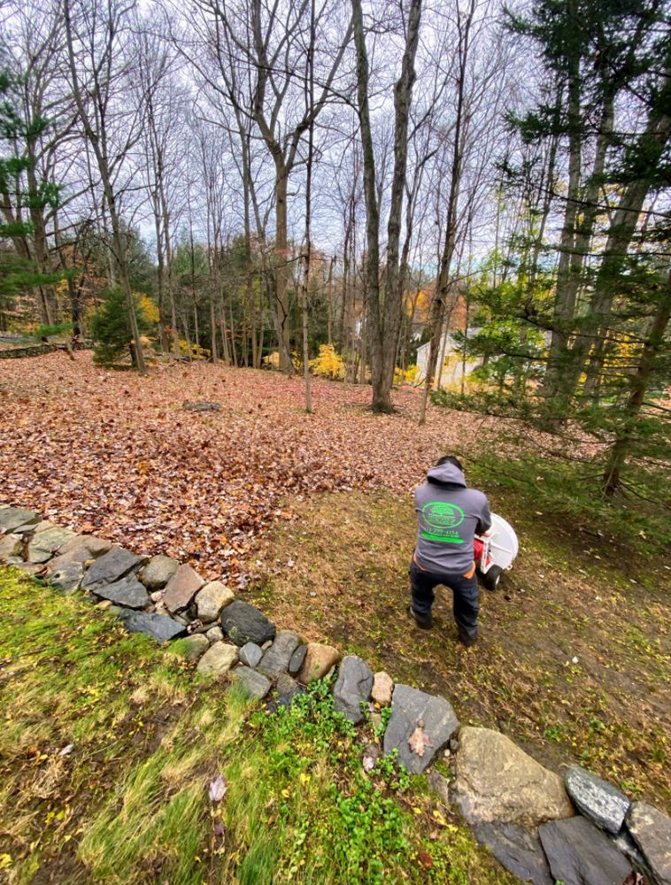 Fall Clean Up for Zaldivar’s Lawn Care INC  in Peekskill, NY