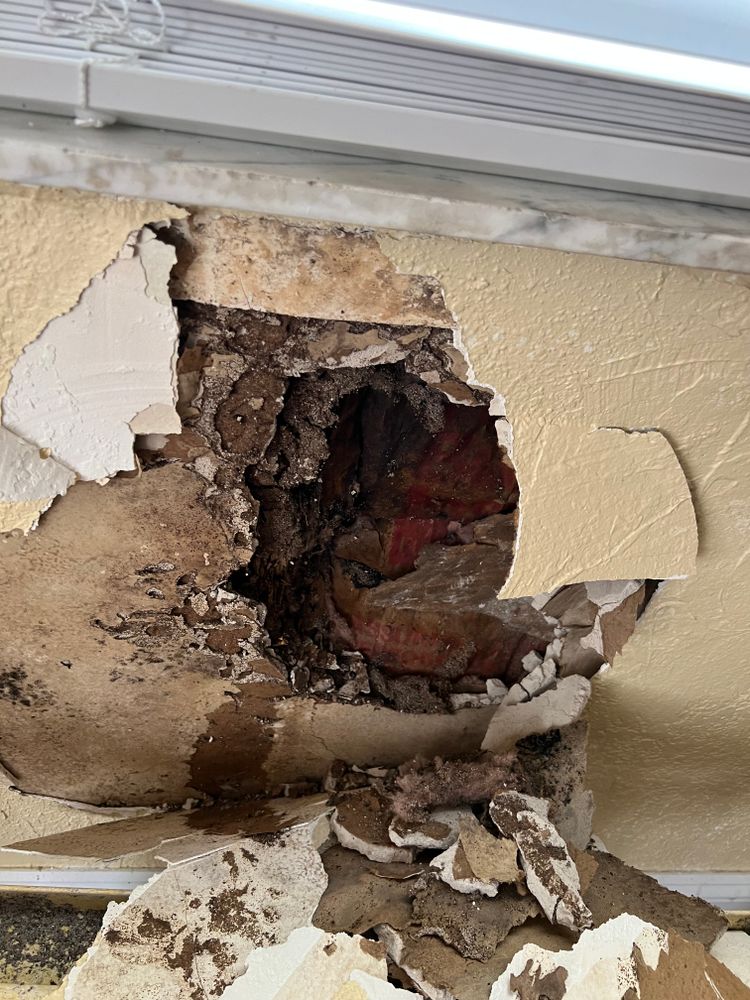 Mold Remediation for N&D Restoration Services When Disaster Attacks, We Come In in Cape Coral,  FL