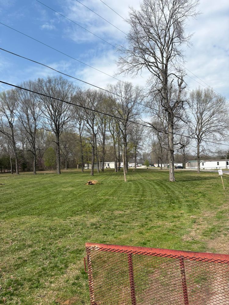 All Photos for Platinum Lawncare in Fayetteville, TN