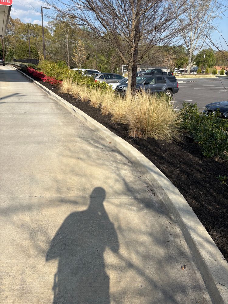 All Photos for Taylormade Lawn Management in Clarkesville, GA