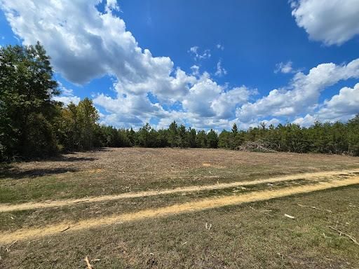 All Photos for Giles Land Management, LLC in Hahira, GA