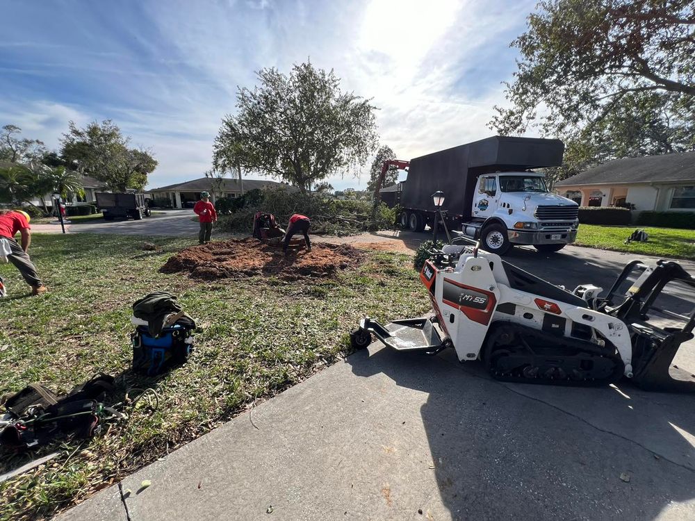 Tree Removal for TREE BOYS in Ruskin, FL