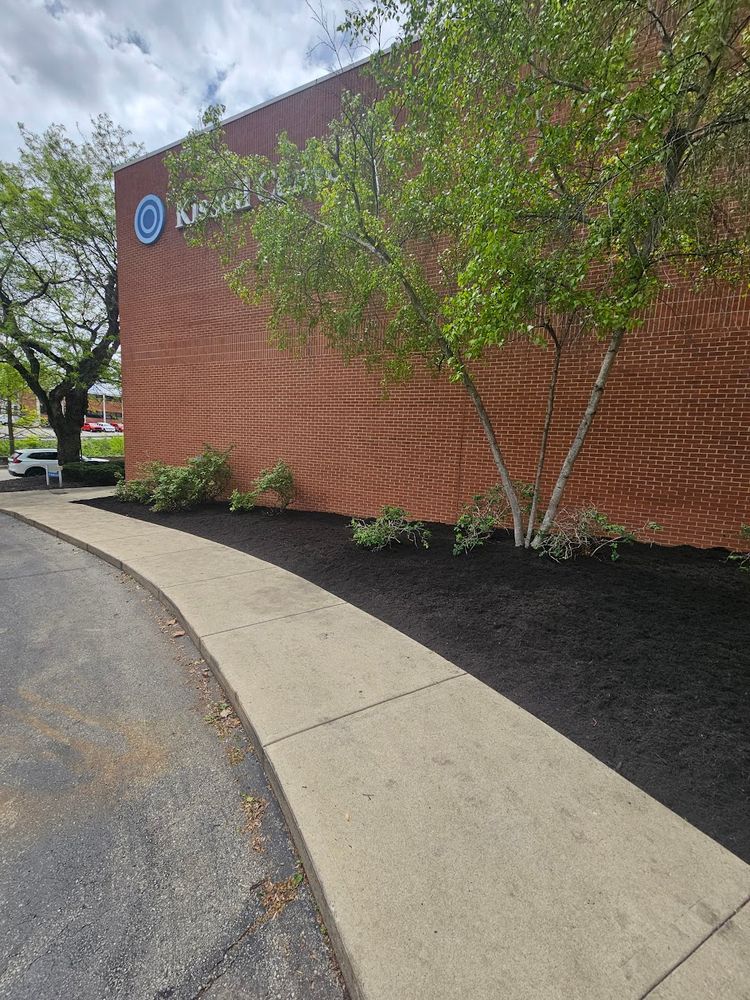 All Photos for Tel Ma Landscaping Maintenance LLC  in Urbana, OH