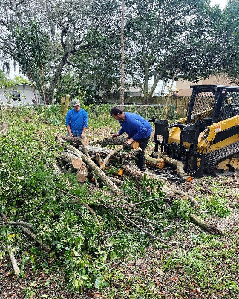 Tree Removal for EB Trees and Landscape in Holiday, FL