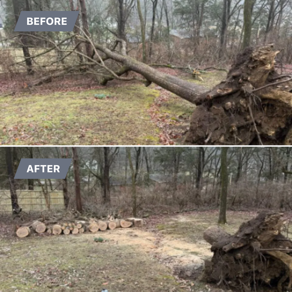 All Photos for Foxlan Landscapes in Fairview, TN