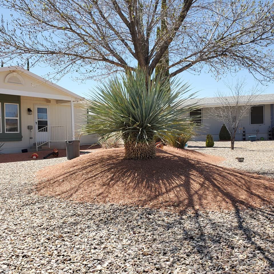 Tree Removal for A to Z Grounds Keeping in Sierra Vista, AZ