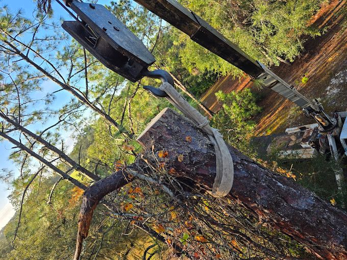 All Photos for Near Me Tree Service, Inc. in DeLand, FL