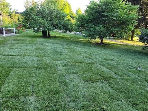 All Photos for PineView Property Services in Canton, MI