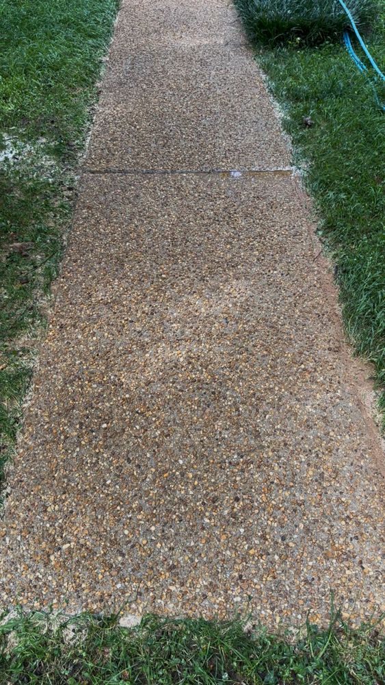 All Photos for LeafTide Solutions in Richmond, VA