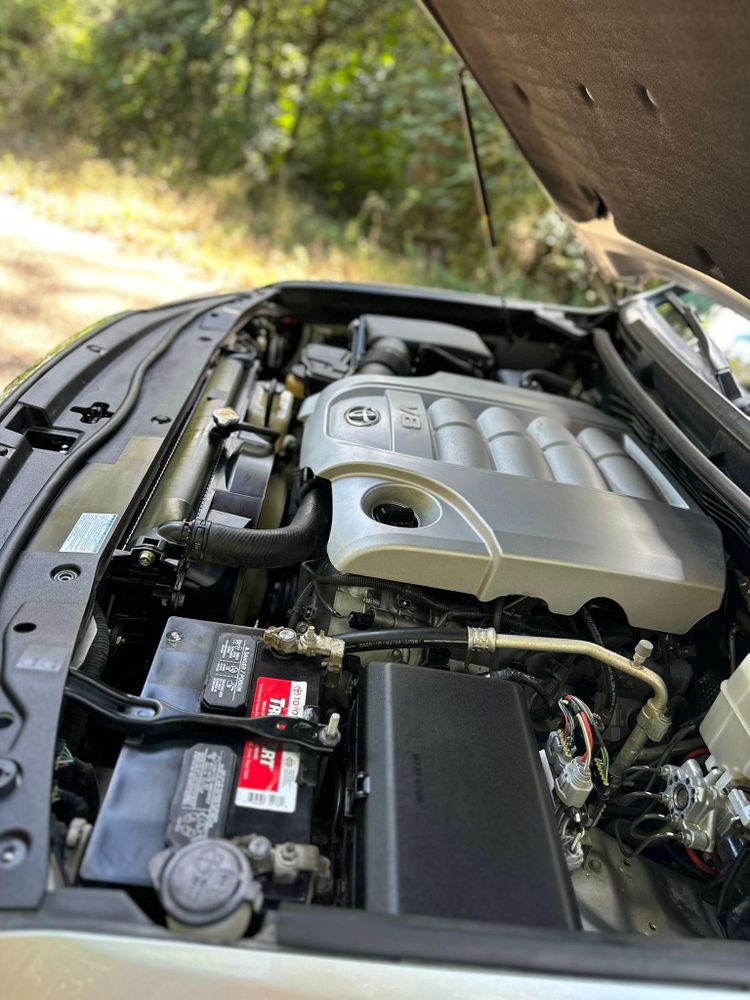 All Photos for Hollywood Detail in Northport , AL