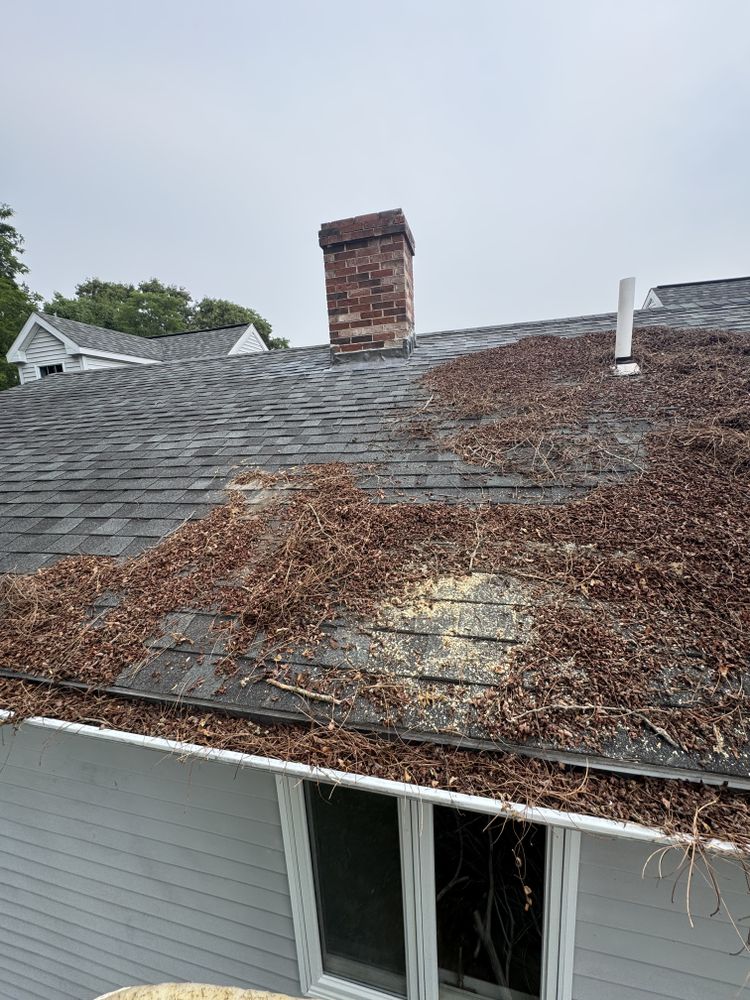Storm Clean-up for Robery's Tree Service in West Wareham, MA