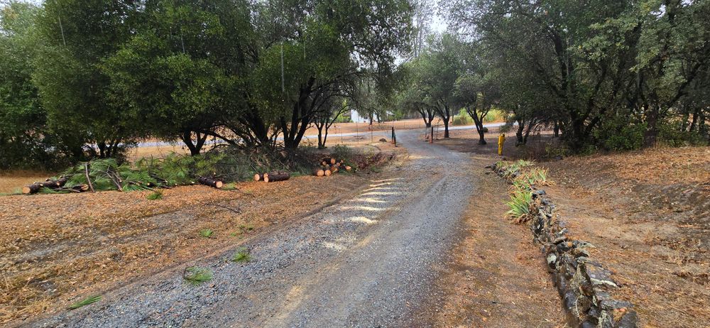 All Photos for George Staddan's Professional Tree Care in Placerville, CA