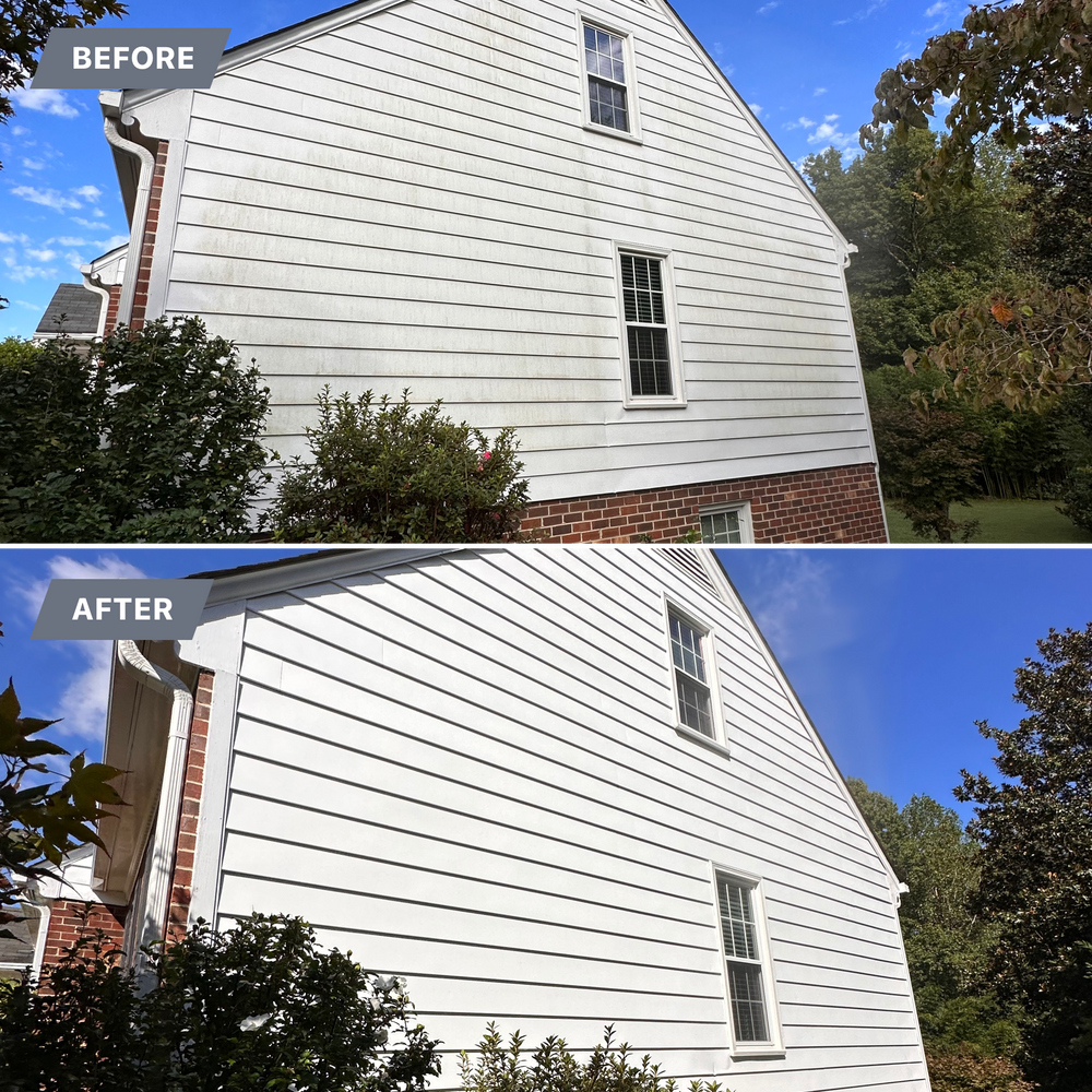 All Photos for LeafTide Solutions in Richmond, VA