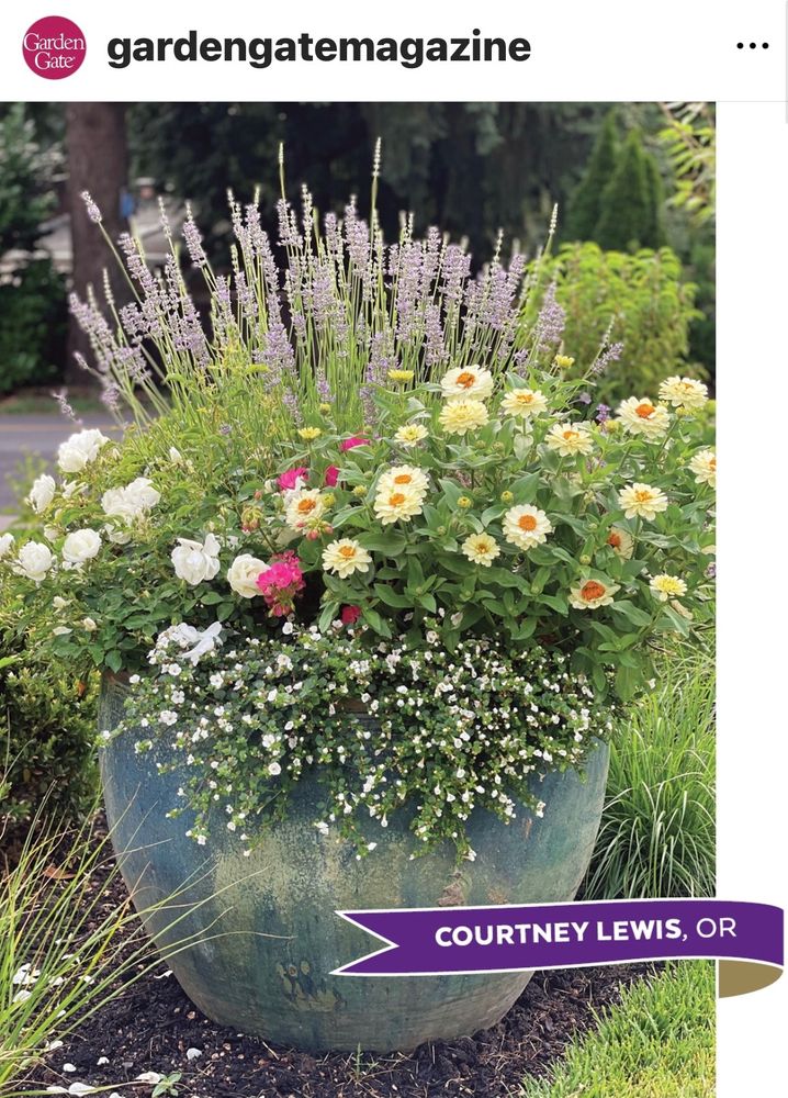 All Photos for Courtney Lewis Landscape Design in Portland, OR