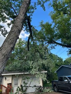 All Photos for Allstate Tree Service and Crane in Spring Lake Park, MN