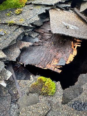 All Photos for 2 Brothers Contracting LLC in Vancouver, WA