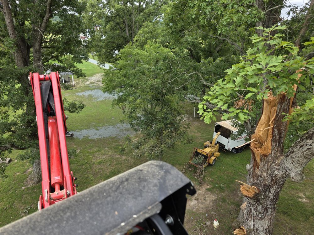 All Photos for Smith Tree Experts in Palmyra, VA