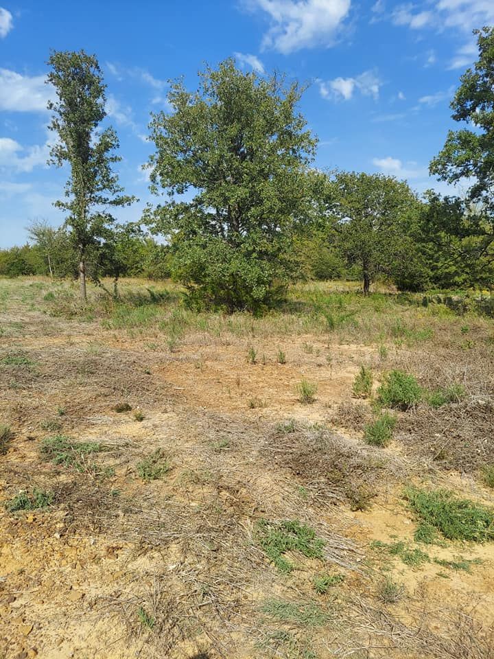 Lawn Care for 4H Property Services in Sanger, TX