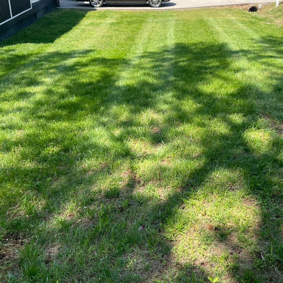 All Photos for Henry’s Lawn Care & Landscaping, LLC in Wendell, NC