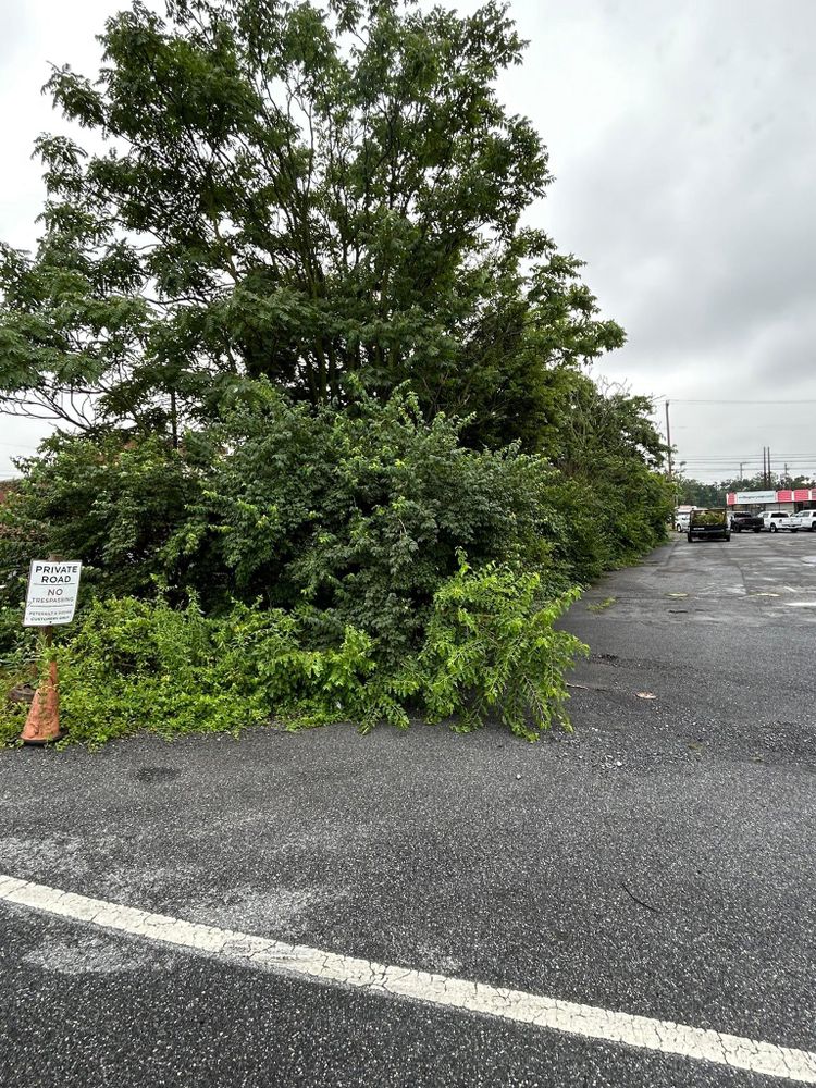 All Photos for Eric's Property Service in Conestoga, PA