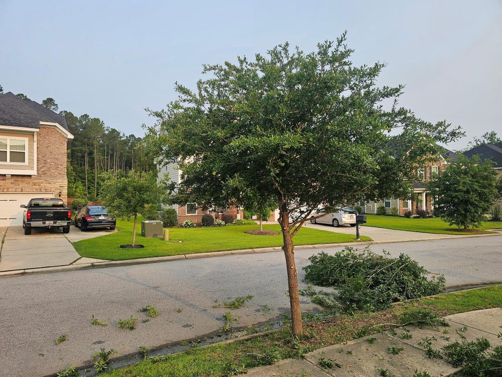 All Photos for 1 Man Does It Lawn Service in Blythewood, SC