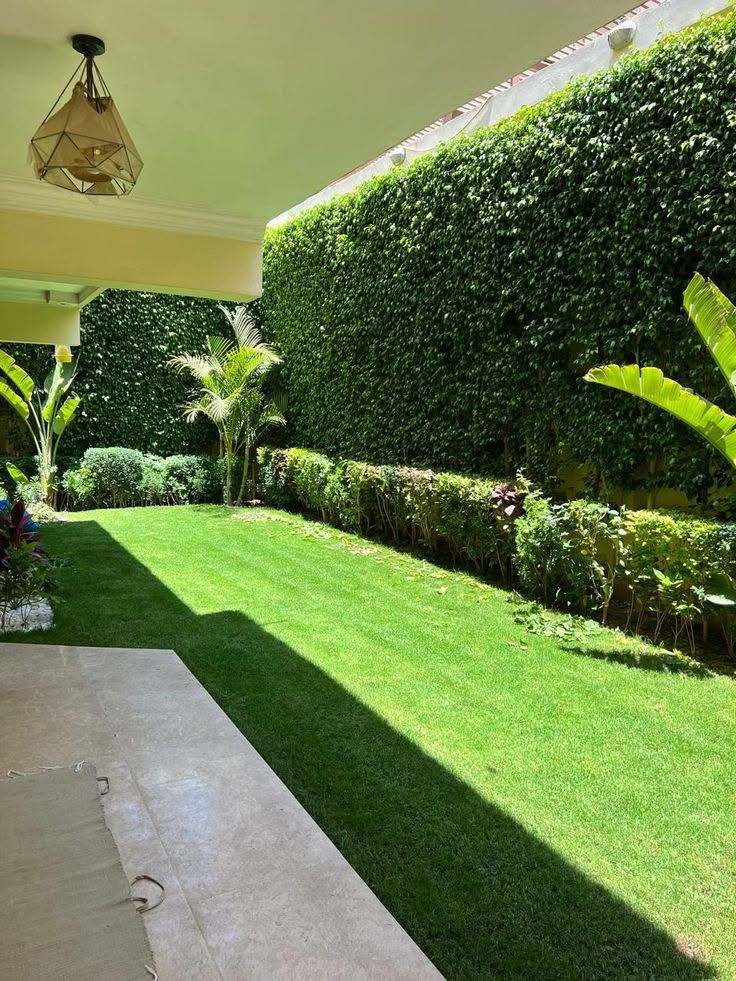 All Photos for Nunez Concrete & Landscape LLC in Tampa Heights, FL