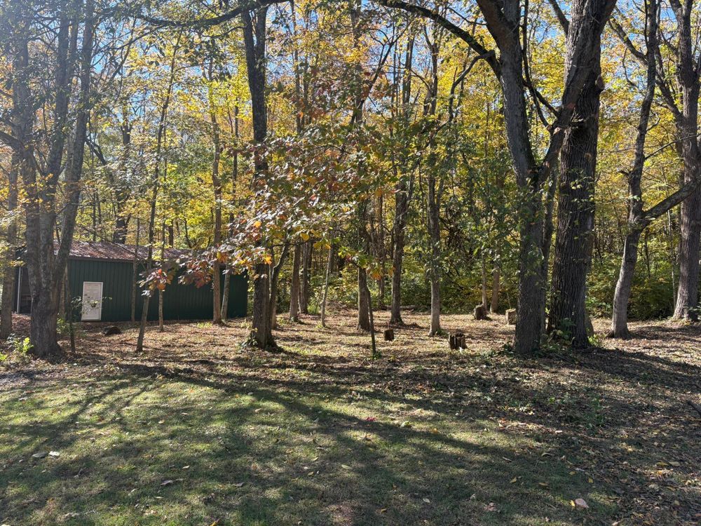 All Photos for Dig-It Tree Company in Mason, OH