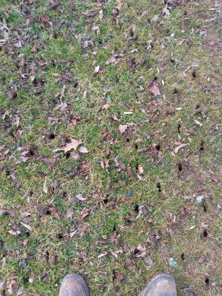 All Photos for Sam I AM Property Solutions in Sunderland, MD