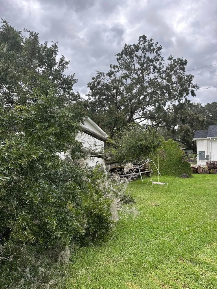All Photos for EB Trees and Landscape in Holiday, FL
