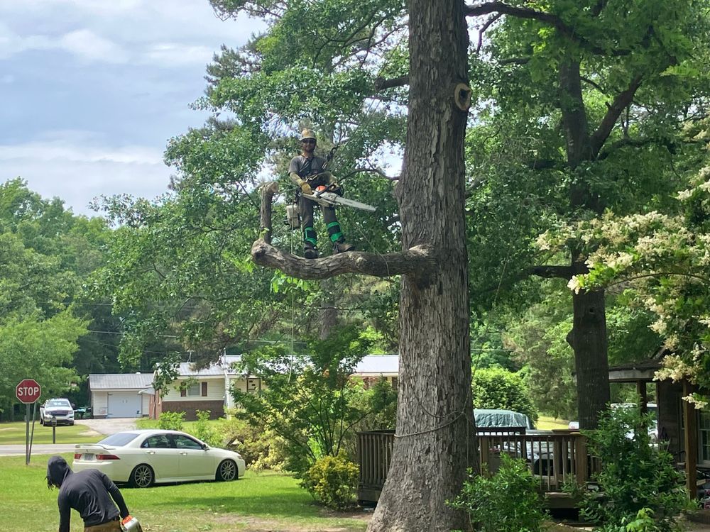 Tree Services for Total Tree Care in Erwin, North Carolina