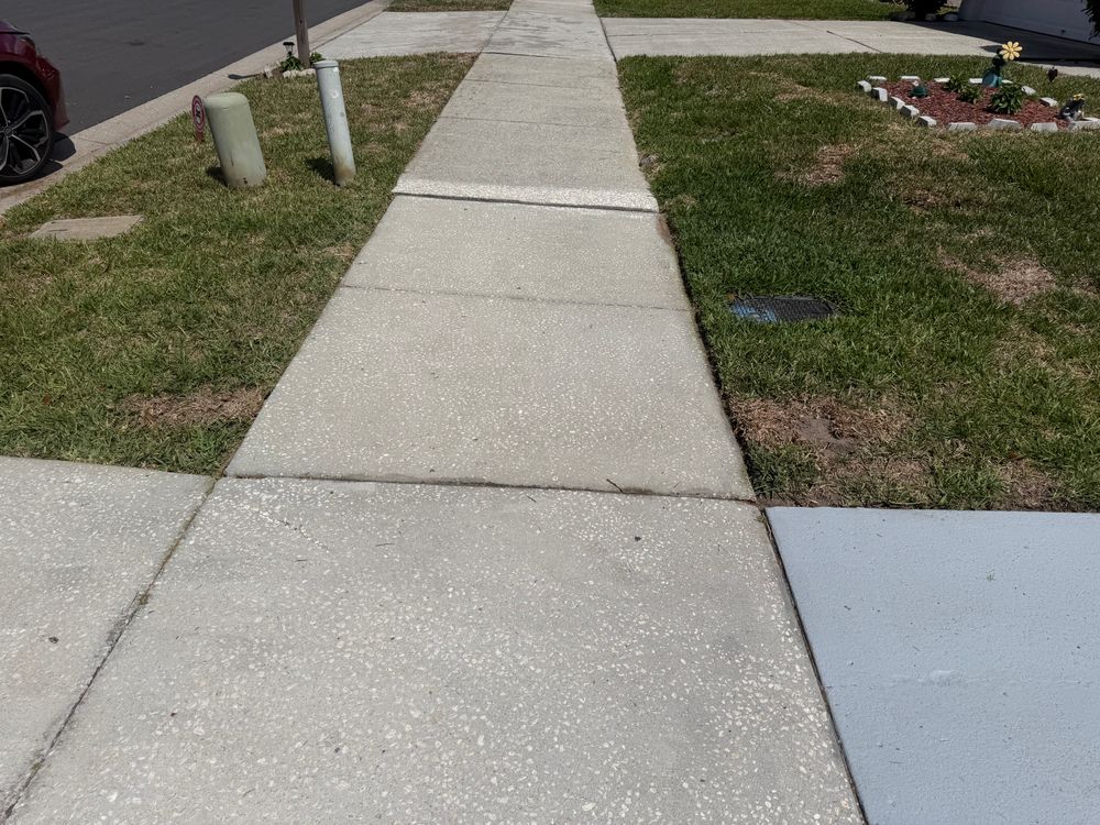 All Photos for The Yardman in Tampa, FL