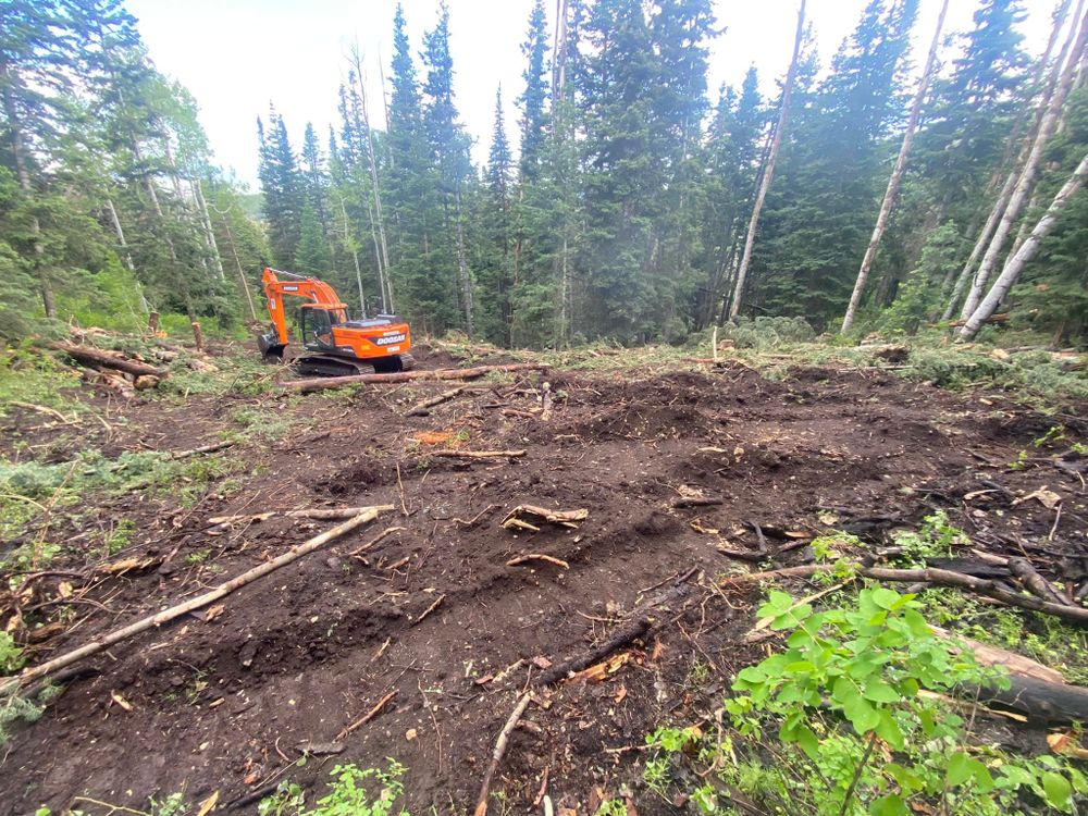 Our Forestry Mulching service efficiently clears overgrown areas, turning unwanted vegetation into nutrient-rich mulch, enhancing your landscape's health and appearance while preserving the soil and reducing erosion. for DL Dirtworks LLC in Ephraim, UT