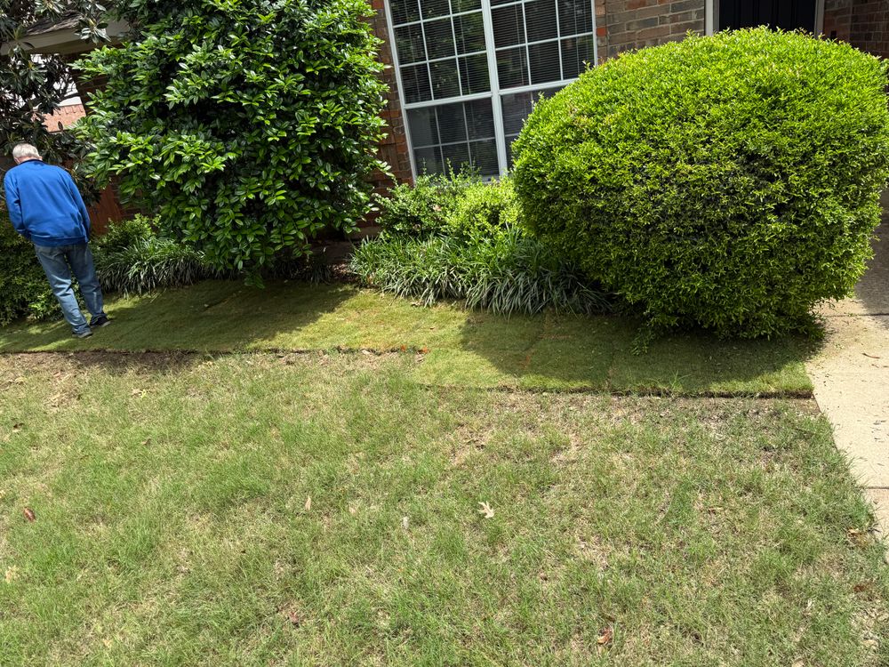 All Photos for Light It Up AV & Turf in Westlake, TX