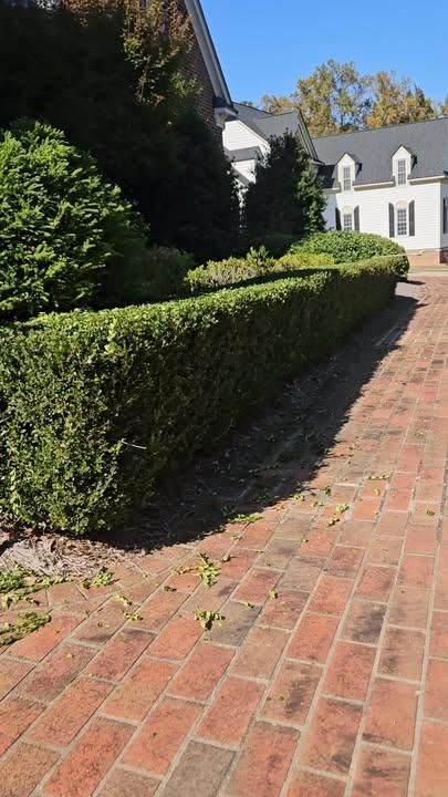 All Photos for Natures Accent in Wilson, NC