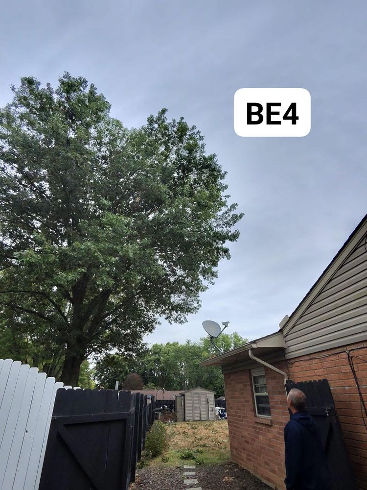 All Photos for F & F Tree Service in Beavercreek, OH