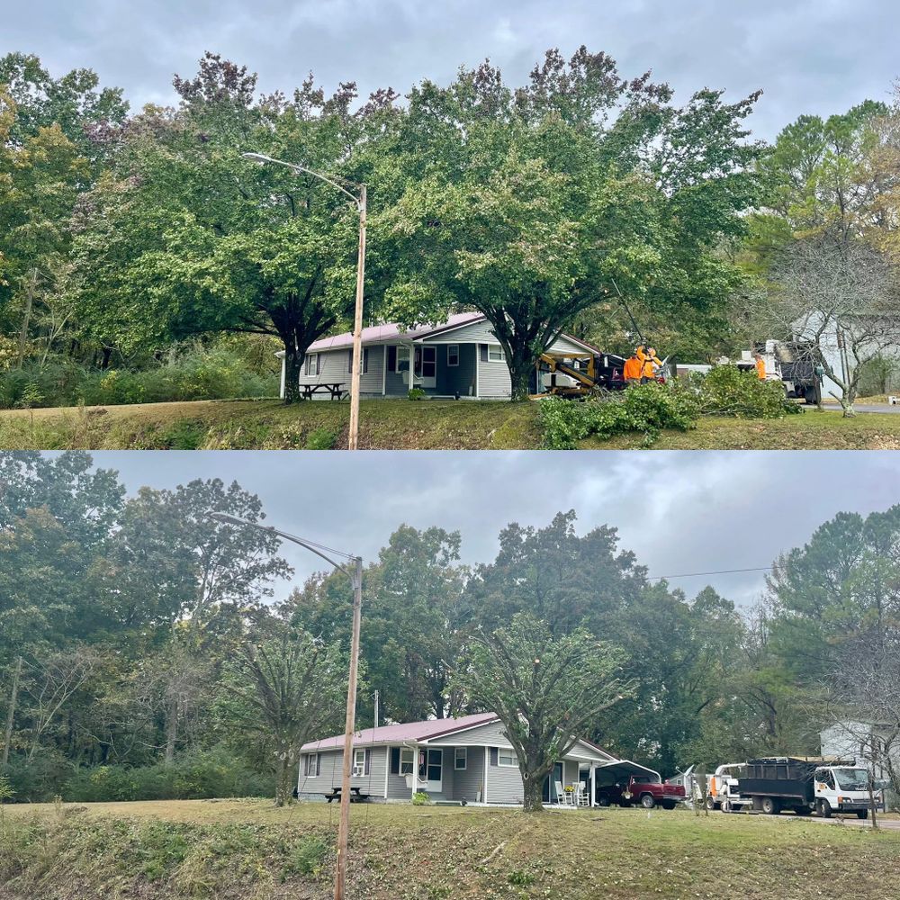 All Photos for Ross Family Tree Service LLC  in Hohenwald, TN