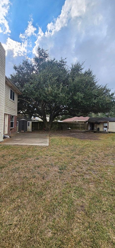 All Photos for Servin's Tree Care  in Houston, TX