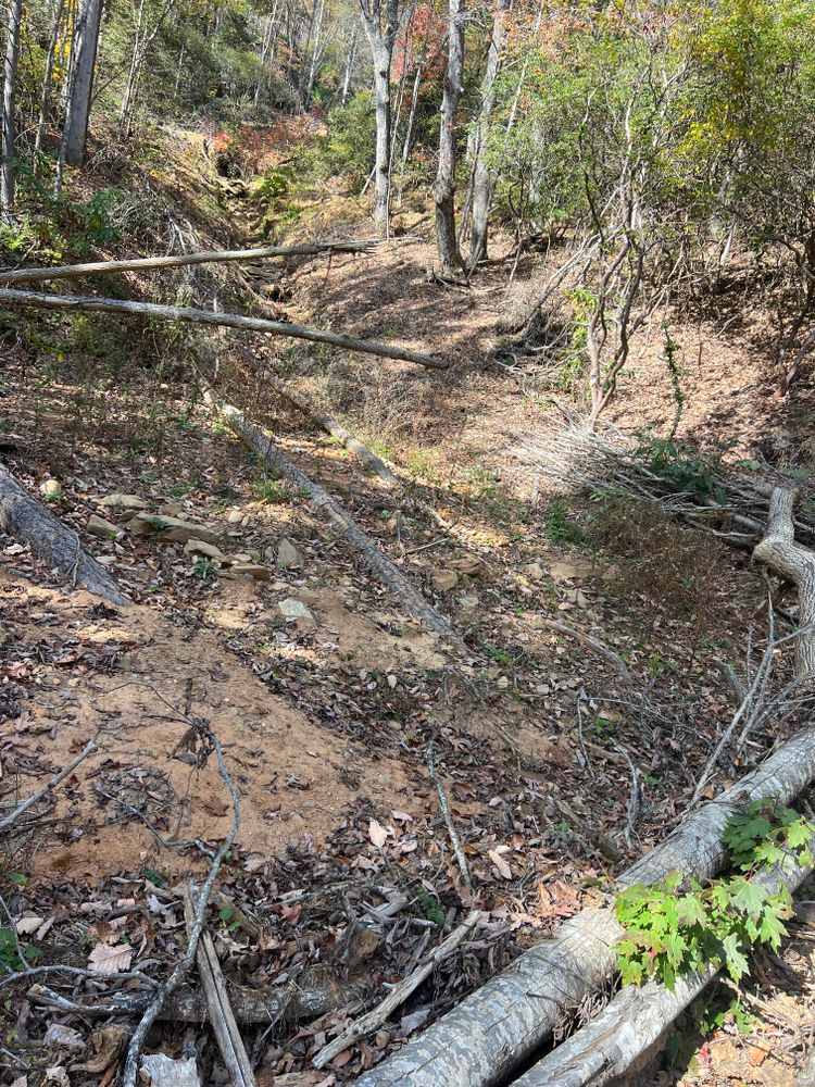 All Photos for Ground To Sky Tree Care in Asheville, North Carolina