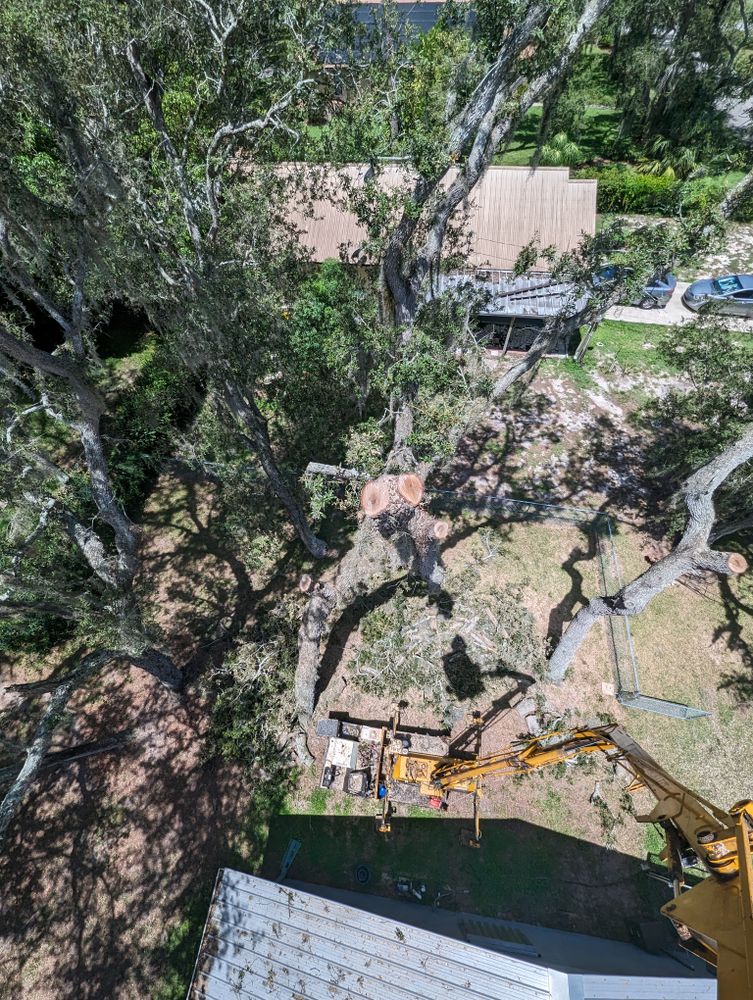 All Photos for Regal Tree Service and Stump Grinding in Wauchula, FL