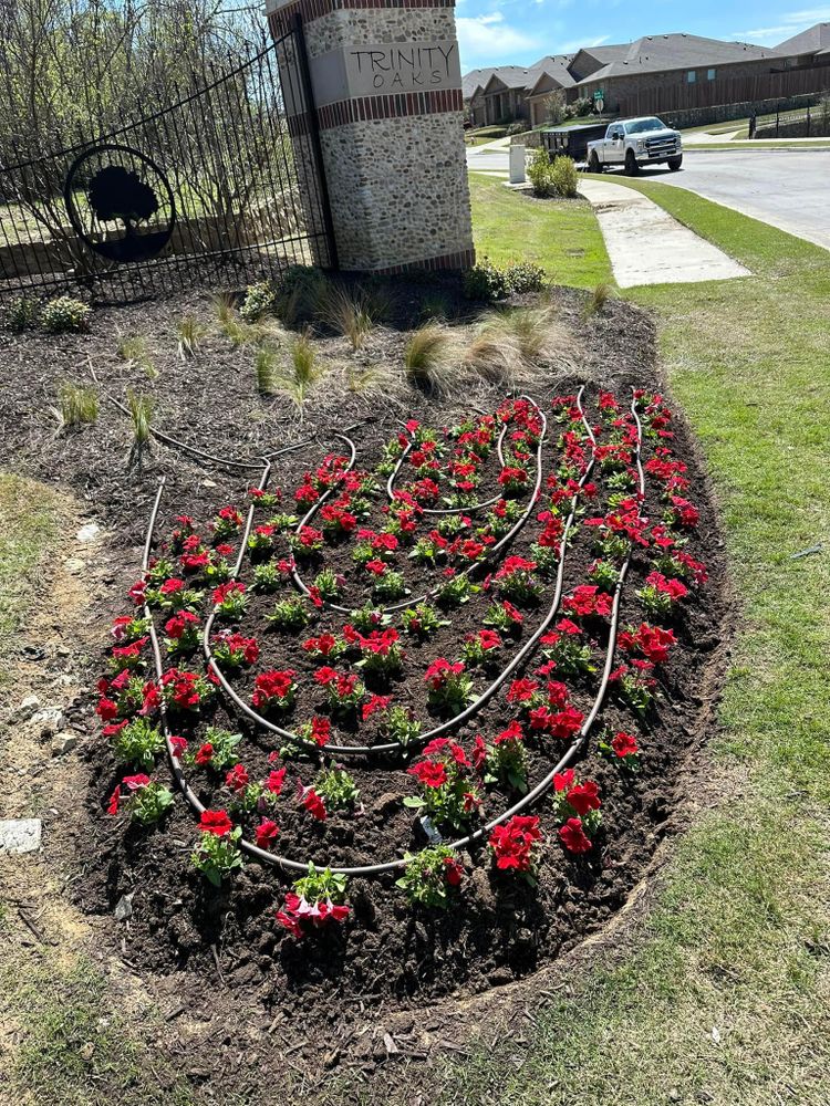 Seasonal color changes for Guerrero's Landscape in Fort Worth,  TX