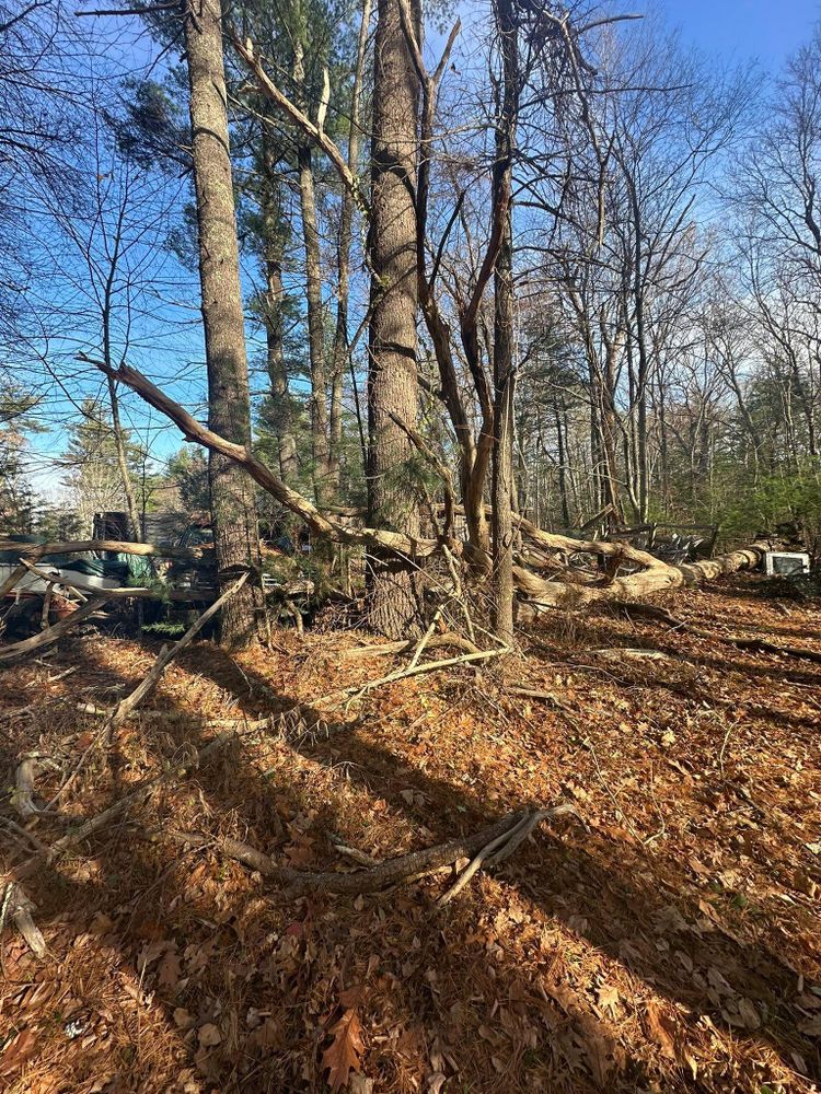 All Photos for Silver City Tree and Landscape in Taunton, MA