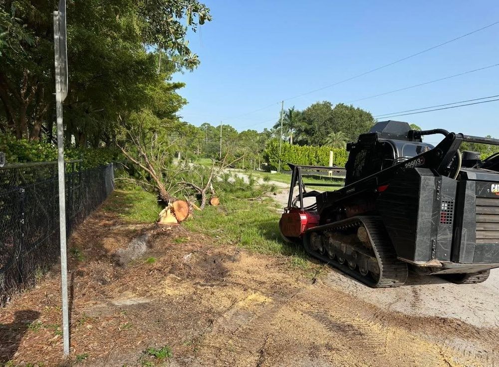 All Photos for McLeran in Naples, FL