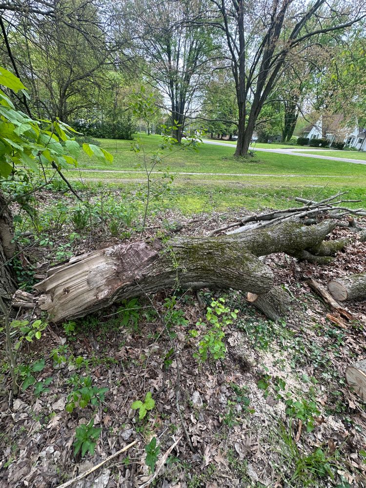 Tree Removal for Blakescape in Elkhart, IN