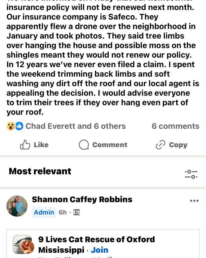 All Photos for Honey Do Oxford Pressure Washing and Soft Washing in Oxford, Mississippi