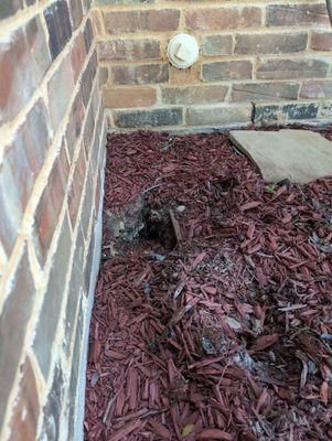 All Photos for Toppers Wildlife Removal in Garland, TX