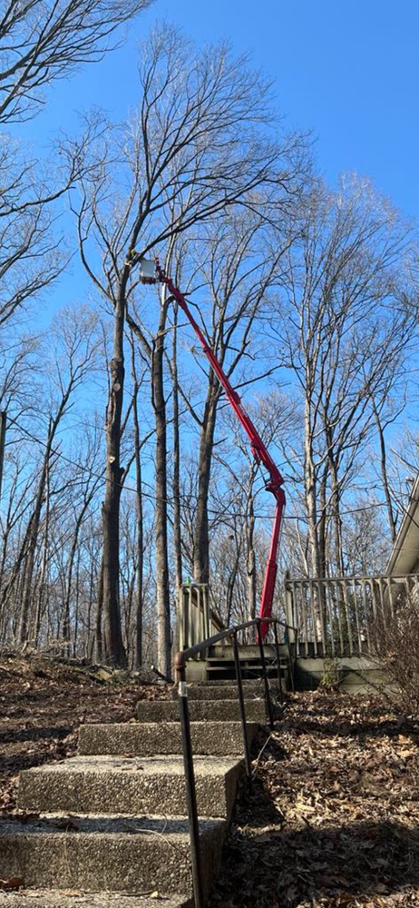 All Photos for SMITHs Tree Service in Columbus, IN