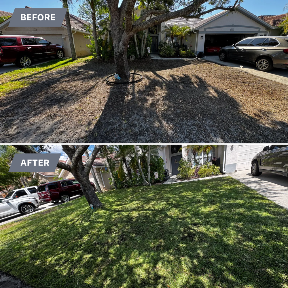 All Photos for BH Lawn & Landscape in LaBelle, FL