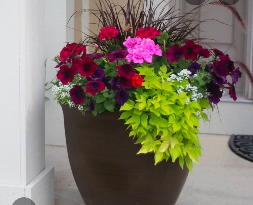 All Photos for Hightower Home Improvement and Garden in Atlanta, GA