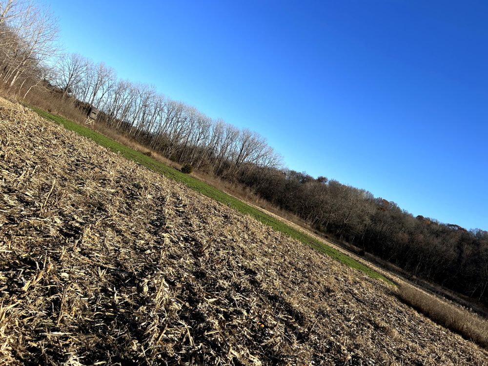 Land Services for Two Young Bucks in Leon, IA